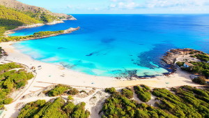 Cala-agulla