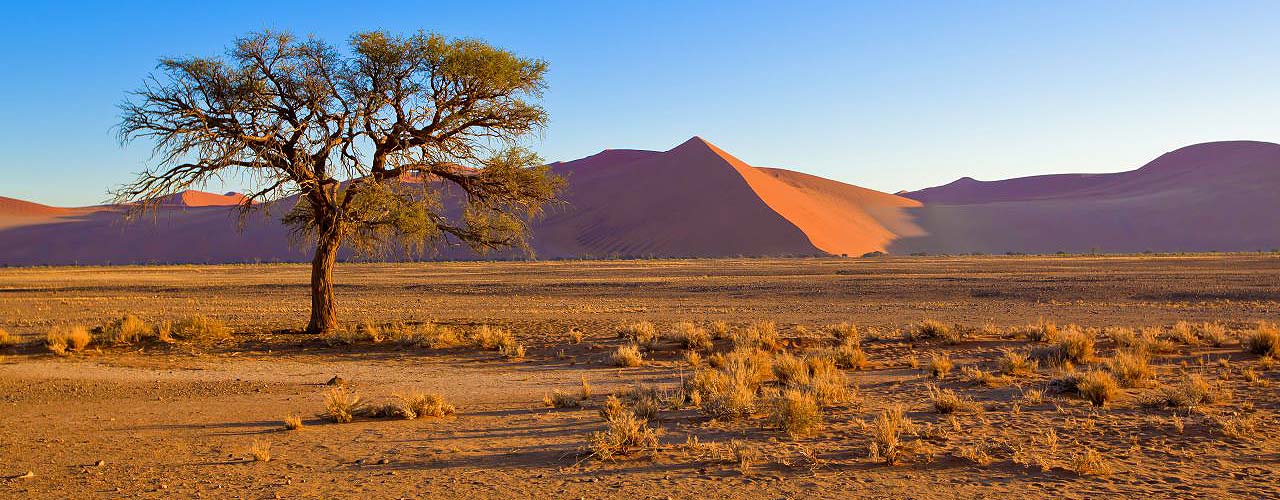 Reisevortrag-Südafrika