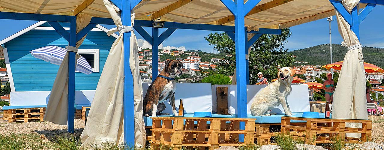 Hundestrand-Crikvenica_Titel