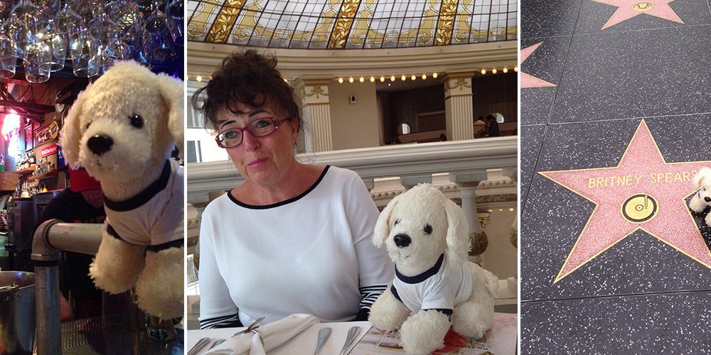 Mimo-auf-Amerika-Weltreise_Titel