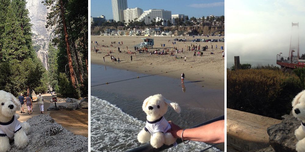 Mimo auf Amerika Weltreise_Teil 2_Titel