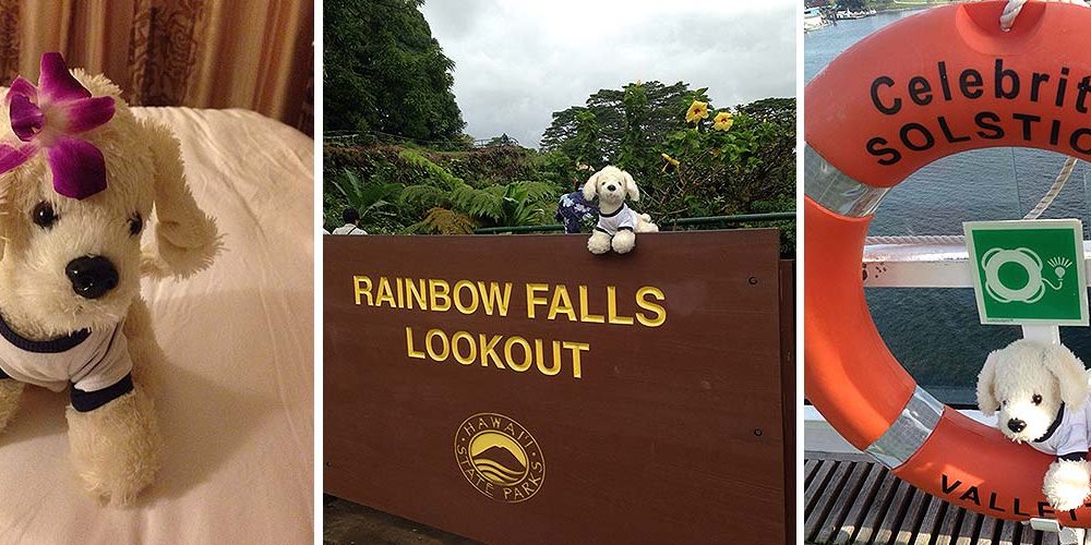 Mimo-auf-Amerika-Weltreise_Teil-3_Titel