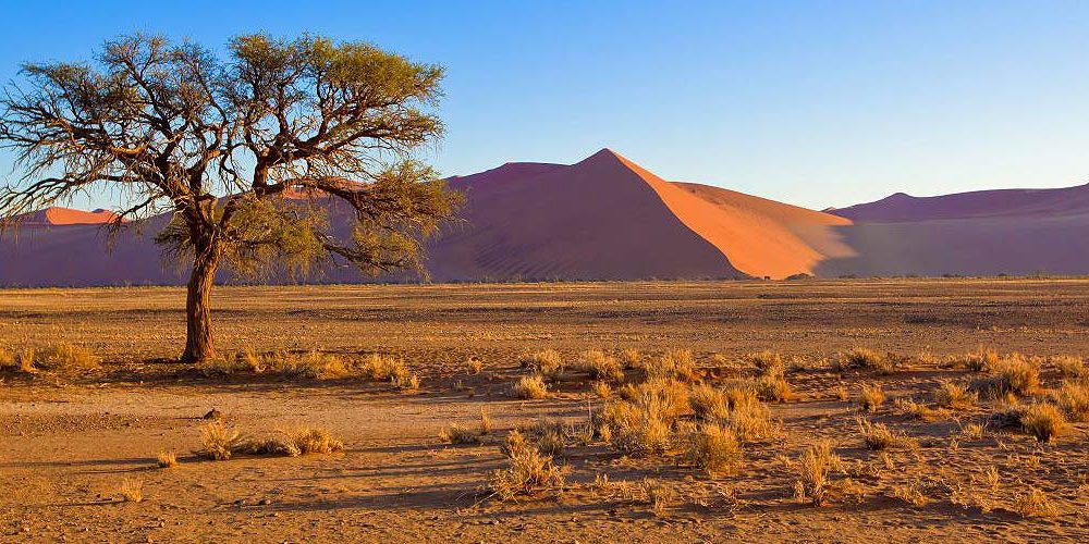 Reisevortrag-Südafrika