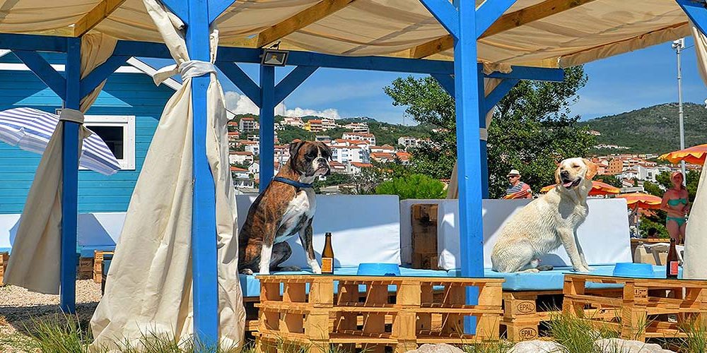 Hundestrand-Crikvenica_Titel