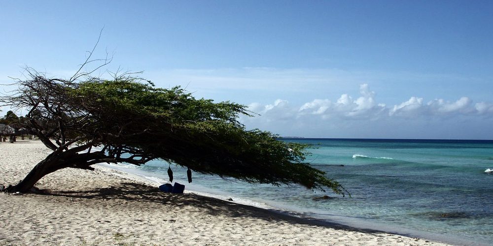 Karibikinsel-Aruba-Love-Festival