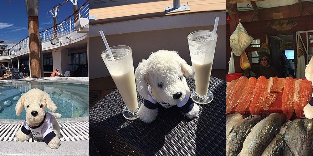 Mimo-Weltreise-Südamerika_1