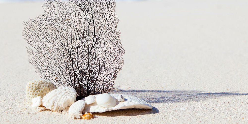 Souvenirs-aus-dem-Urlaub