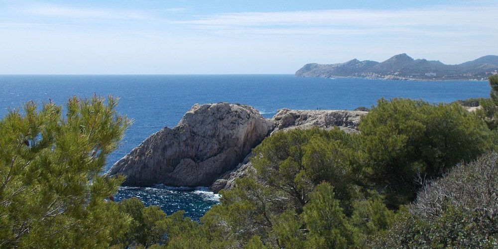 Flughafen-Buslinie-bis-Cala-Rajada