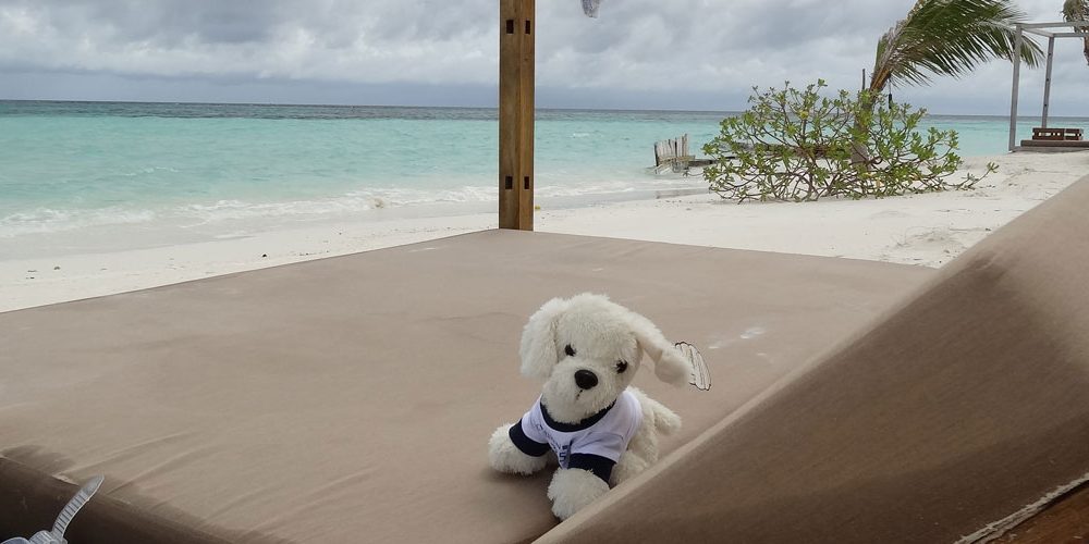 Mimo-auf-den-Malediven